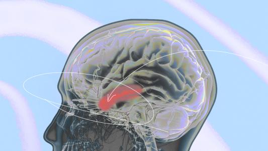 An image of a human brain with a red spot representing speech-related neural processing.