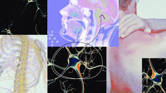 A collage featuring images of a man with a sore back, 3D renders of the central nervous system and a brain scan.