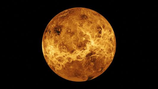 signs of life on venus